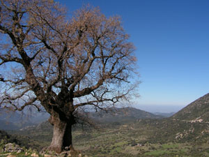 Salto del Cabrero