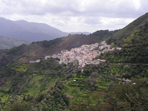 Weißes Dorf