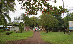 Hauptstraße von Tortuguero
