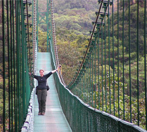 Brücke über den Wald