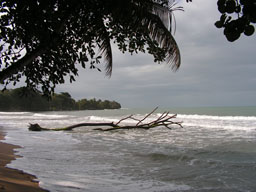 Strand in Cahuita
