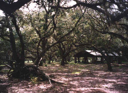 Lake Kissimmee State Park