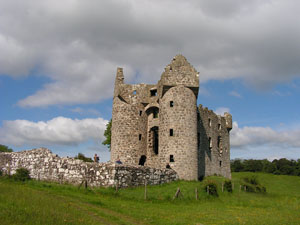 Monea Castle