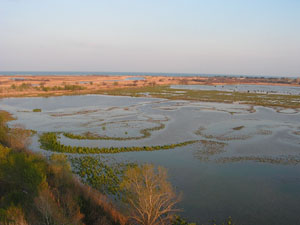 Naturpark Aiguamolls