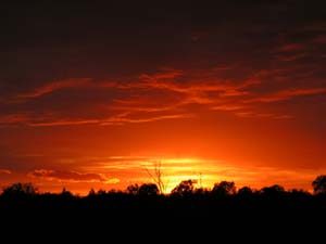 Abendstimmung im Biebrza-Nationalpark