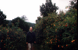 Zwischen bunten Blumen
