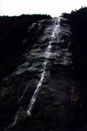 Rhododendron-Wasserfall